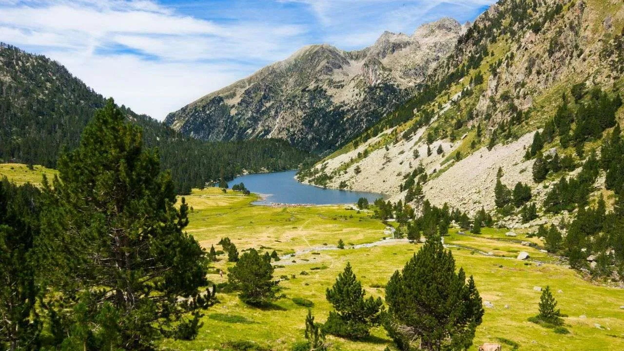 The Pyrenees